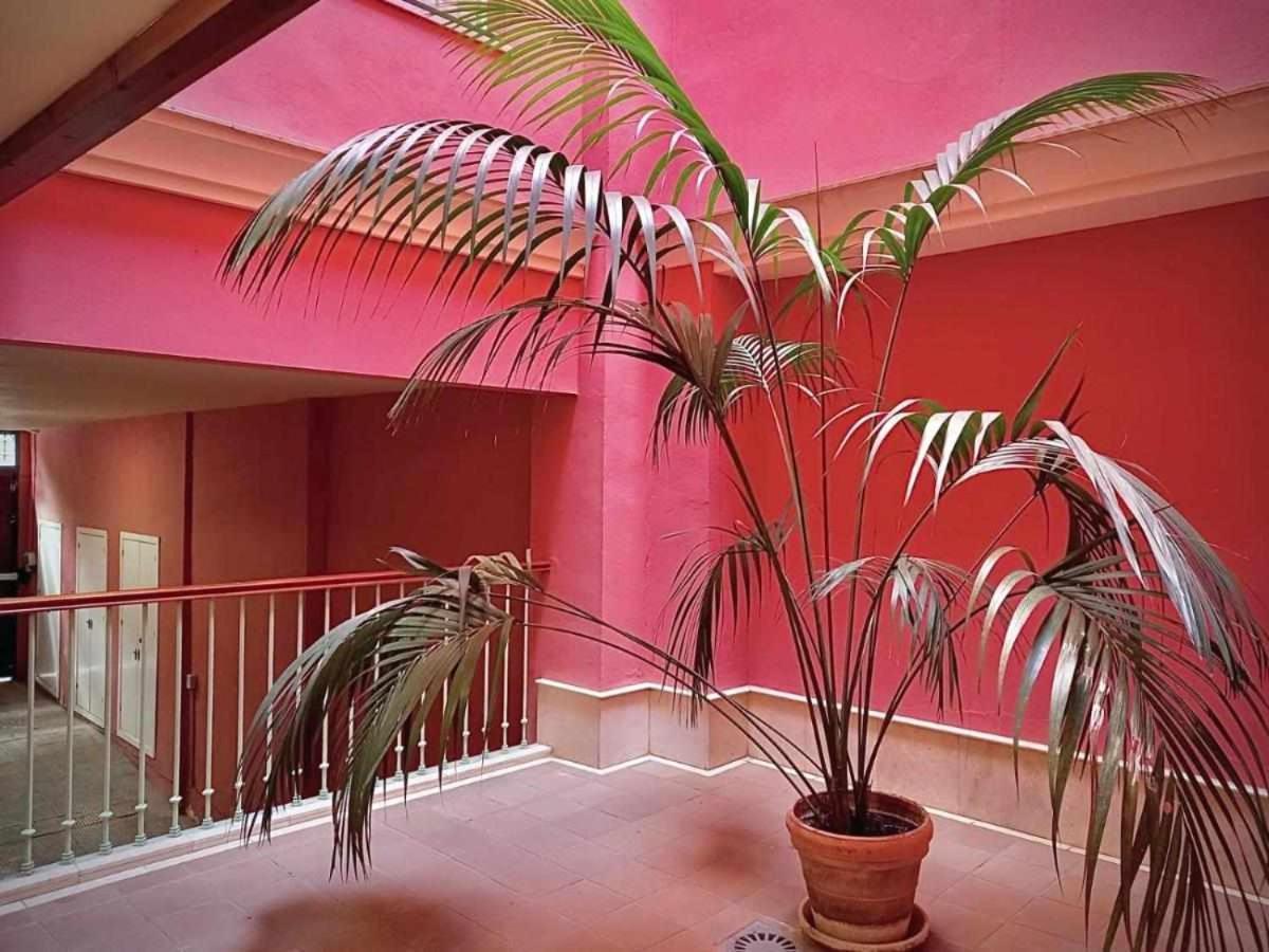 Apartamento Sauceda 7 セビリア エクステリア 写真